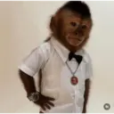Pelekat