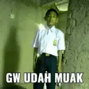 Stika
