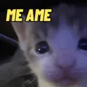 Límmiði