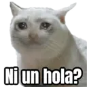 สติกเกอร์
