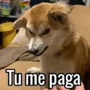 Naklejka