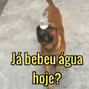 Autocollant
