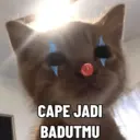 贴纸