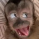 Nhãn dán