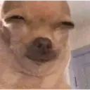 Nhãn dán