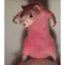 Nhãn dán