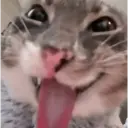 Nhãn dán