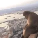 Çıkartma
