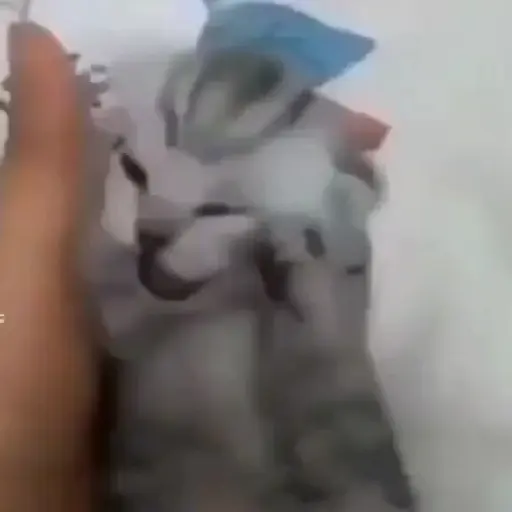 Figurinha