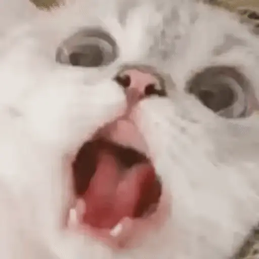 Adhesiu