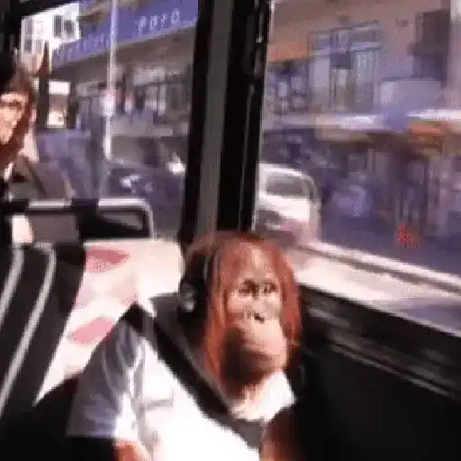 Nhãn dán
