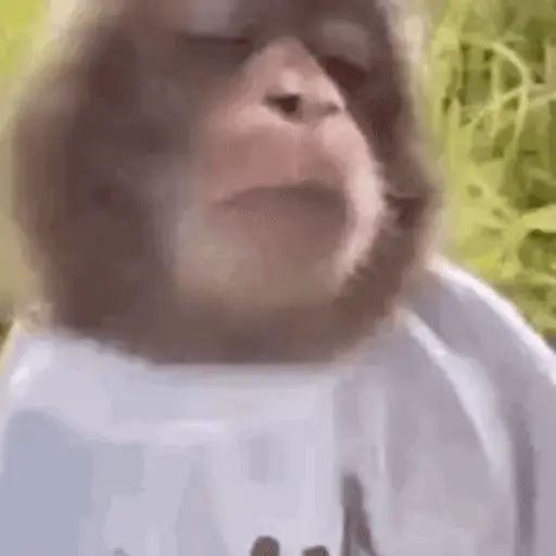 Nhãn dán