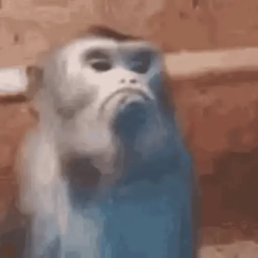 Nhãn dán