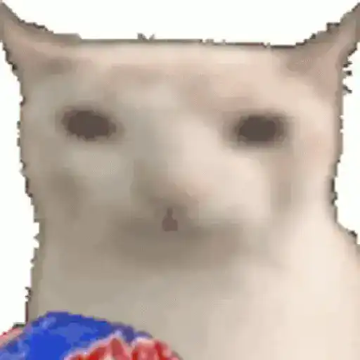 Adhesiu