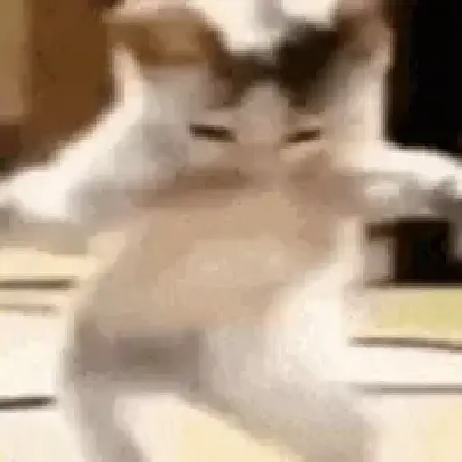 Adhesiu