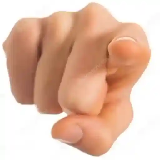 Samolepka