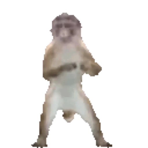 贴纸