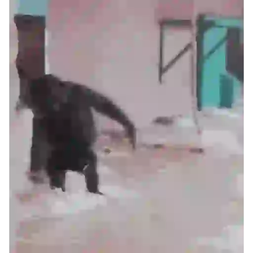 贴纸