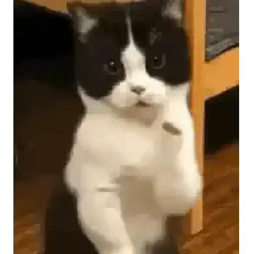 Çıkartma