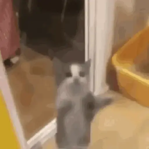 Çıkartma
