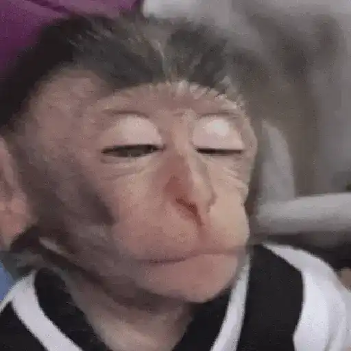 Կպչուն պիտակ