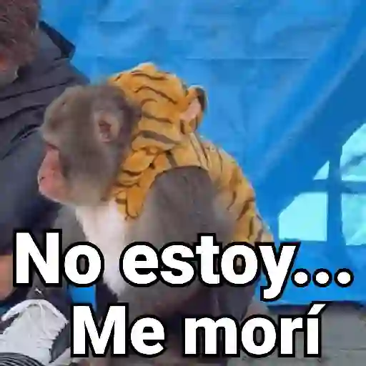 Կպչուն պիտակ
