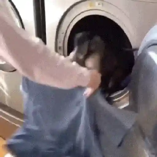 Կպչուն պիտակ