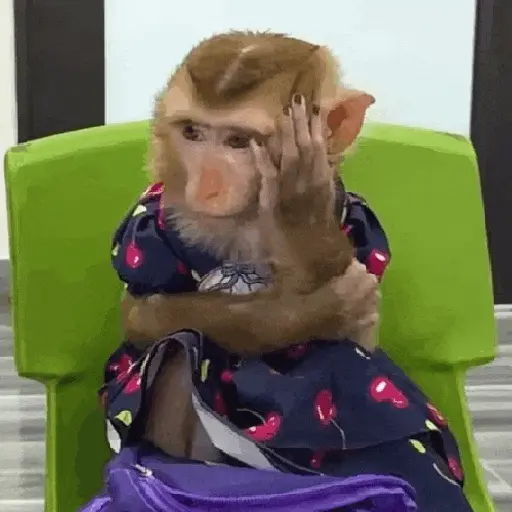Կպչուն պիտակ