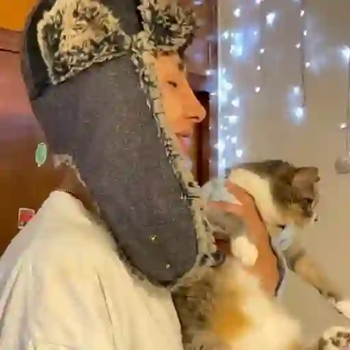 Límmiði