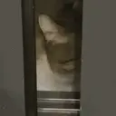 Կպչուն պիտակ