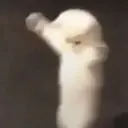 Կպչուն պիտակ