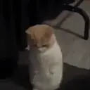 Կպչուն պիտակ