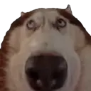 Naklejka
