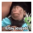 Nhãn dán