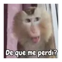 Figurinha