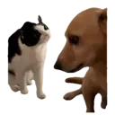 Çıkartma