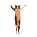 Çıkartma