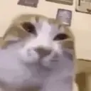Naklejka