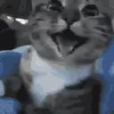 Naklejka