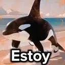 Nhãn dán
