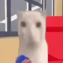 Límmiði