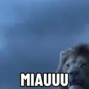 Límmiði