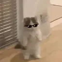Límmiði