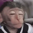 Pelekat