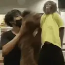 Pelekat