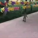 Pelekat