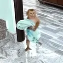 Pelekat