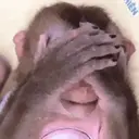 Pelekat