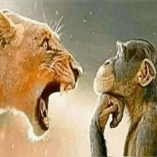 स्टिकर