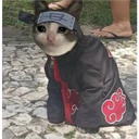 Pelekat